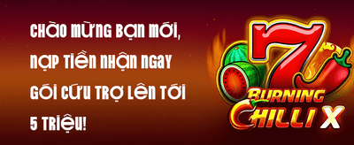 Hoàn Trả VIP Hàng Tuần Không Giới Hạn
